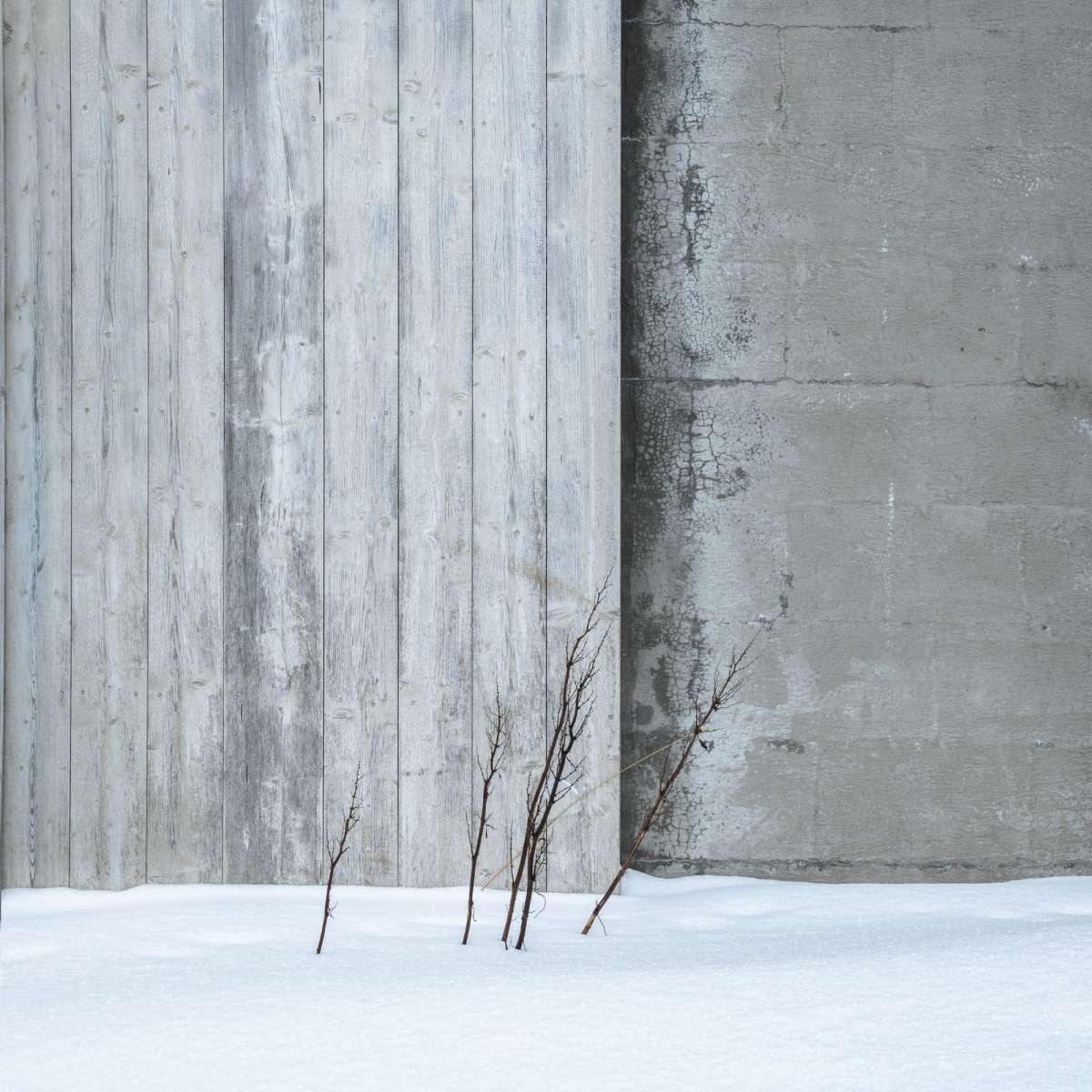 A contemplative image showing photography intent - Michael Pilkington - aspect2i