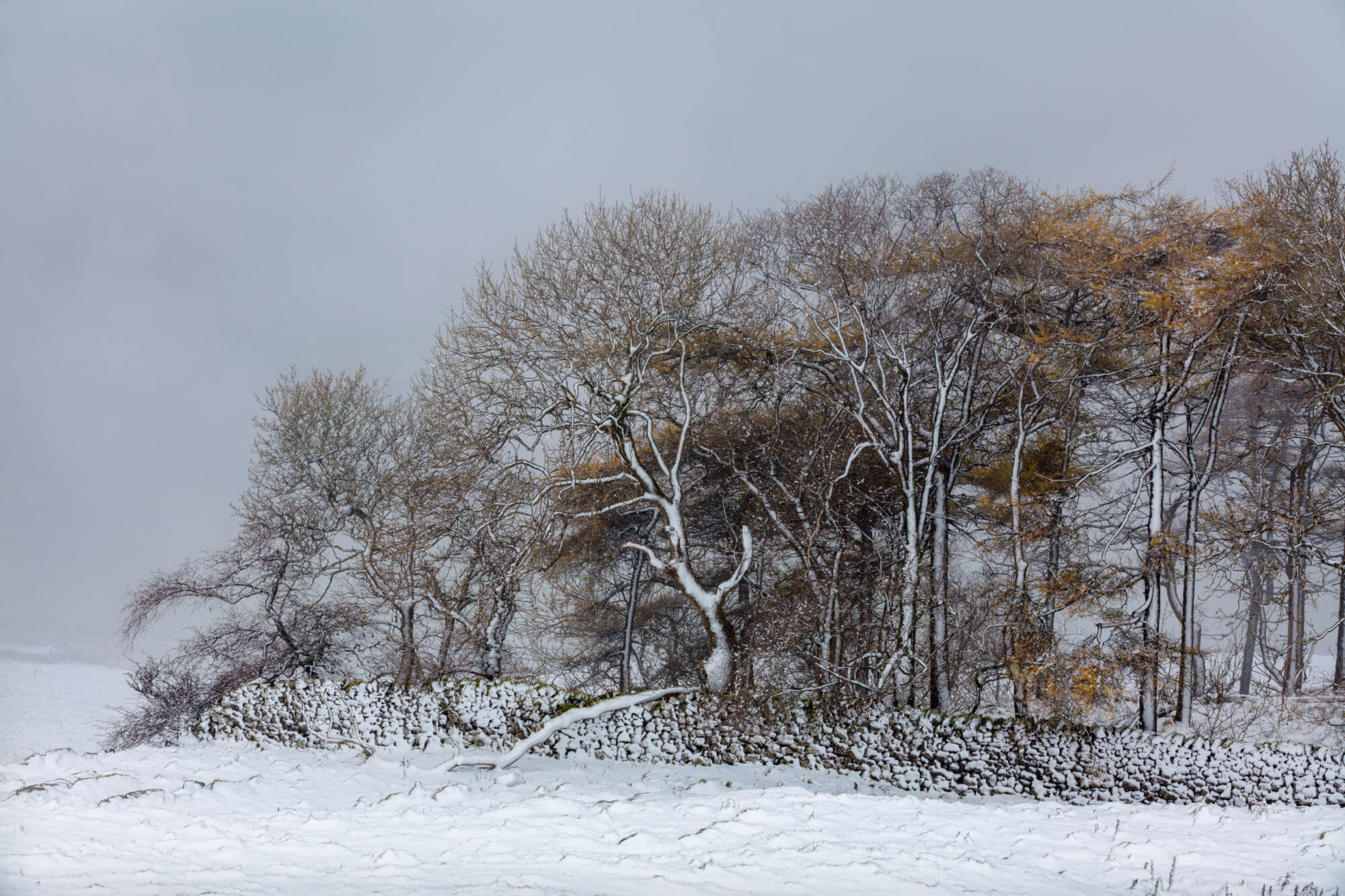 Winter Landscapes Yorkshire Dales aspect2i