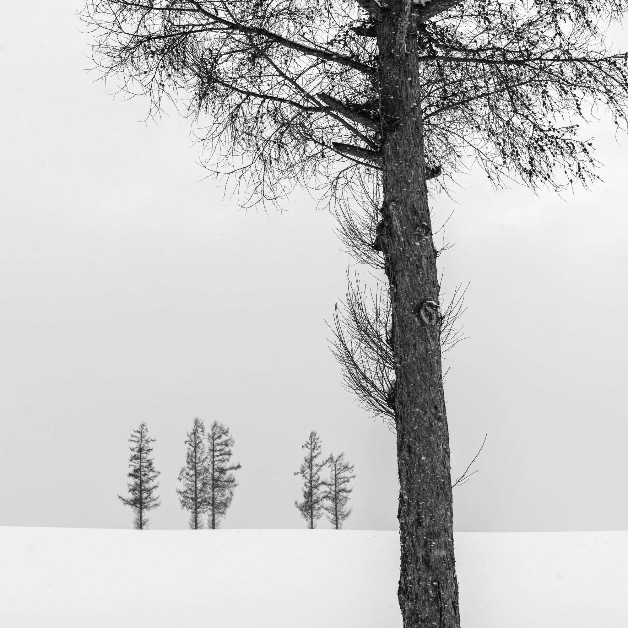 Self-portraits in landscape photography - gaining perspectives