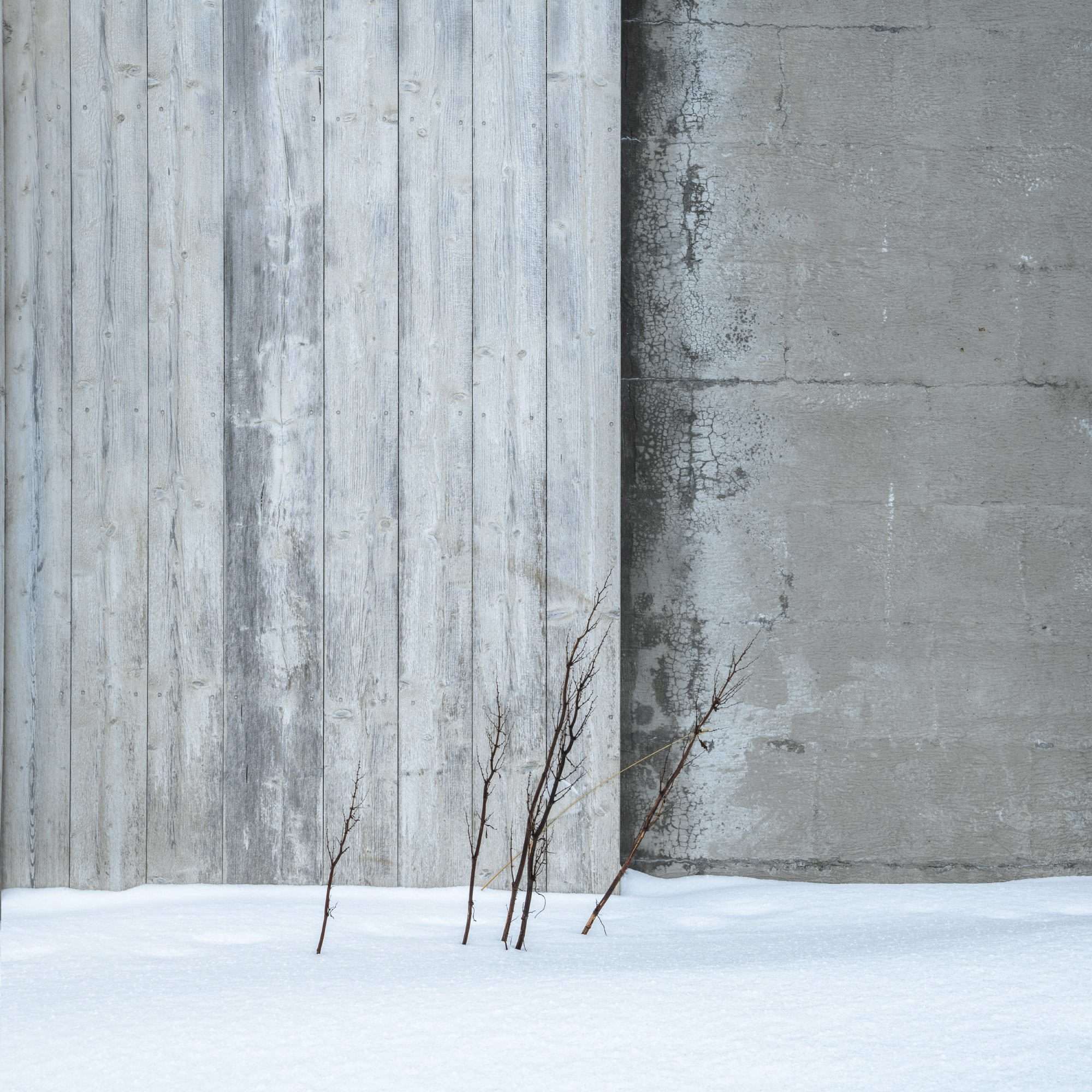 A contemplative image showing photography intent - Michael Pilkington - aspect2i