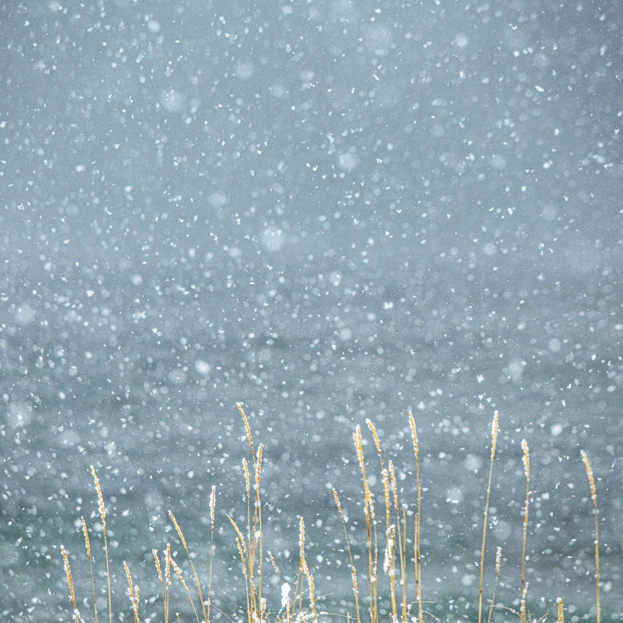 Self-portraits in landscape photography - self enquiry is an essential step in understanding