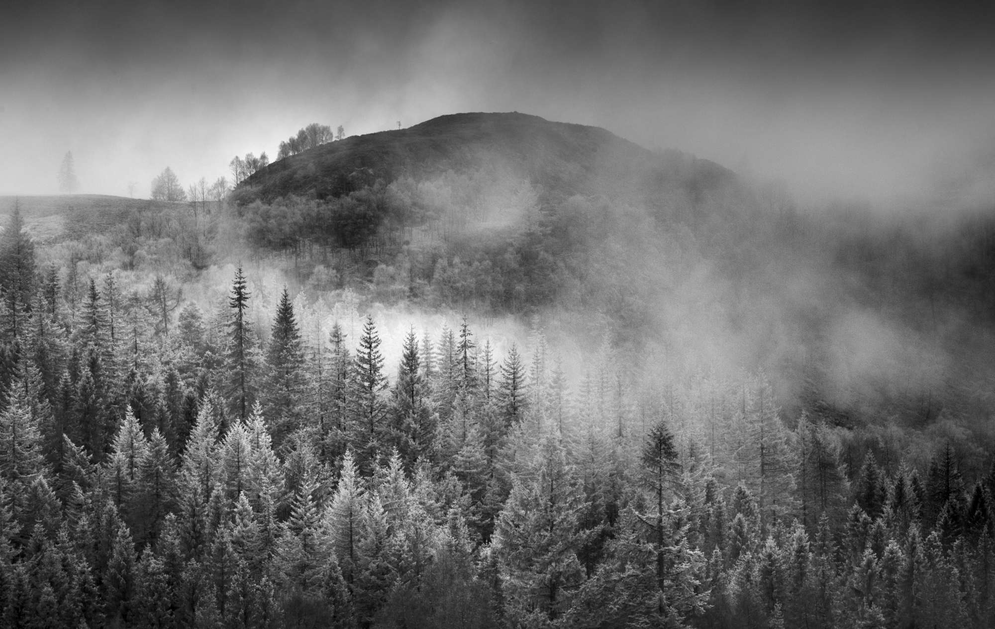 Early morning mist Perthshire Scotland in Infrared Michael Pilkington aspect2i