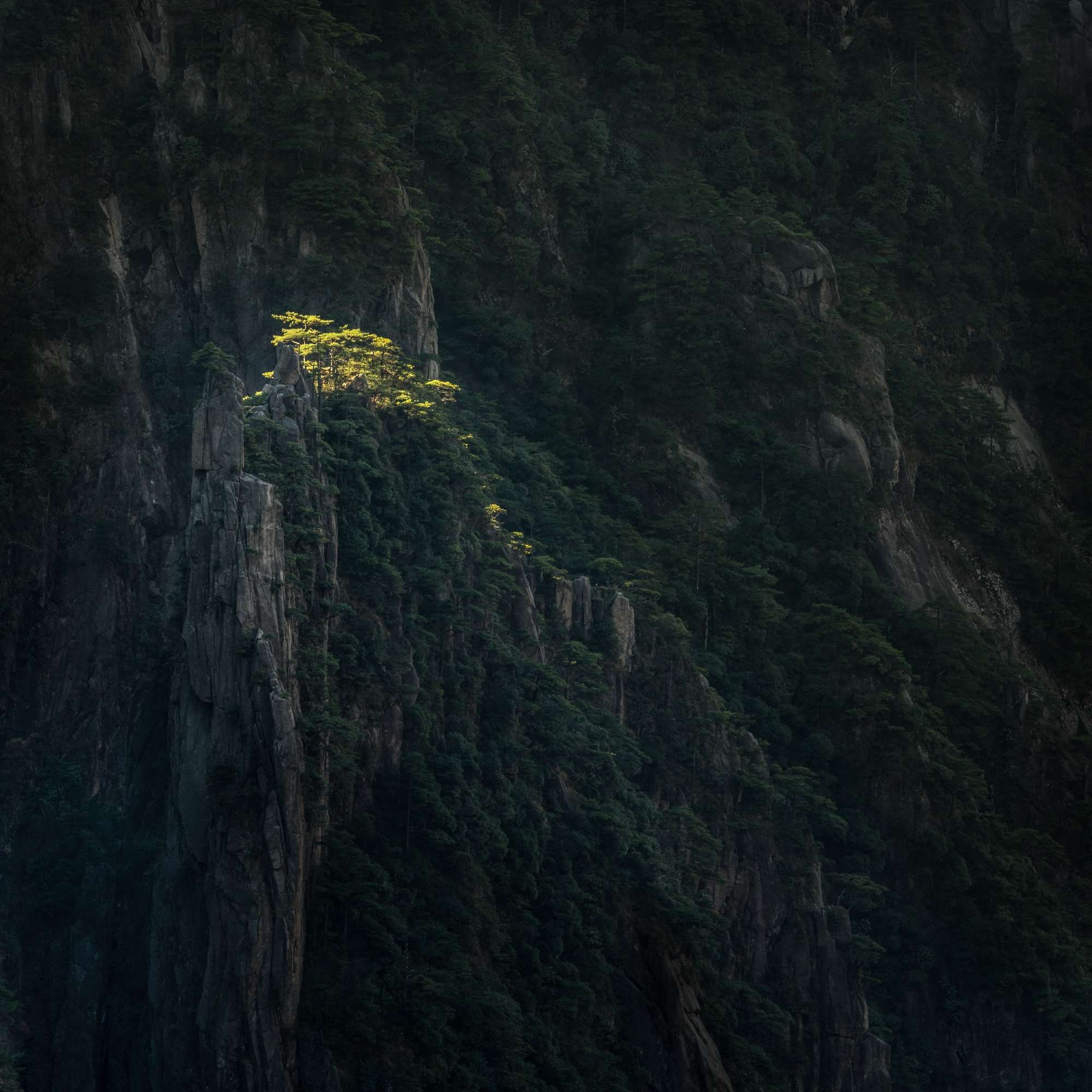 Yellow Mountain China Michael Pilkington aspect2i