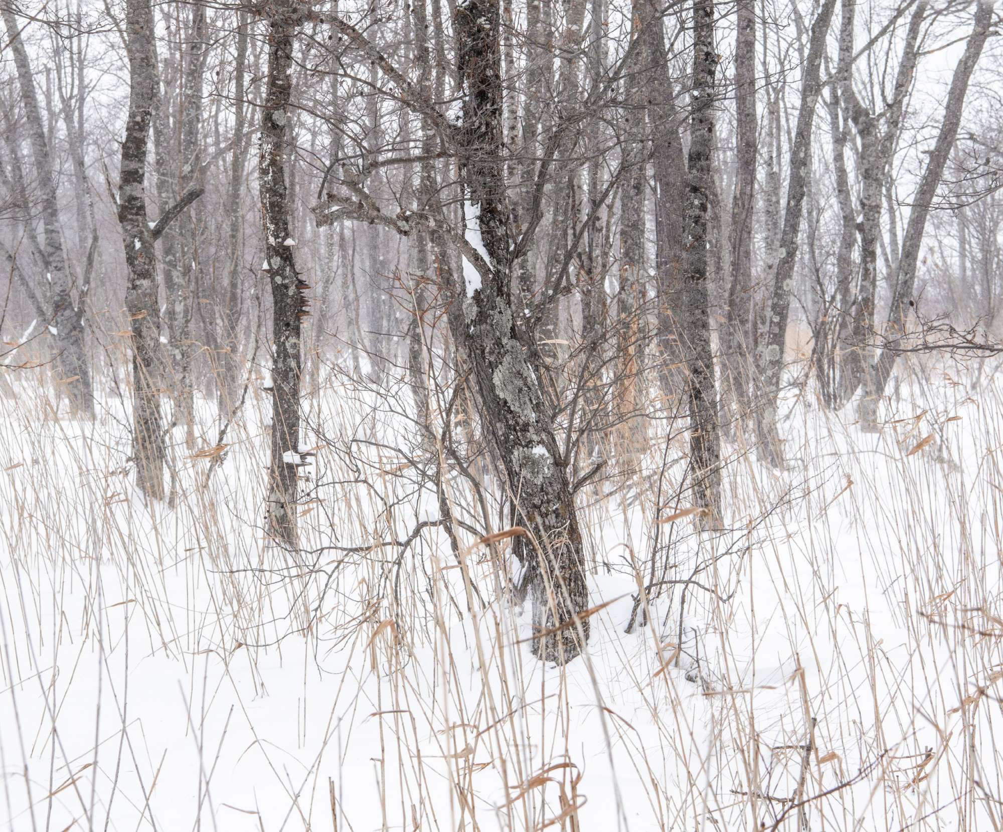 Self-portraits in landscape photography - your landscapes can reveal your inner self