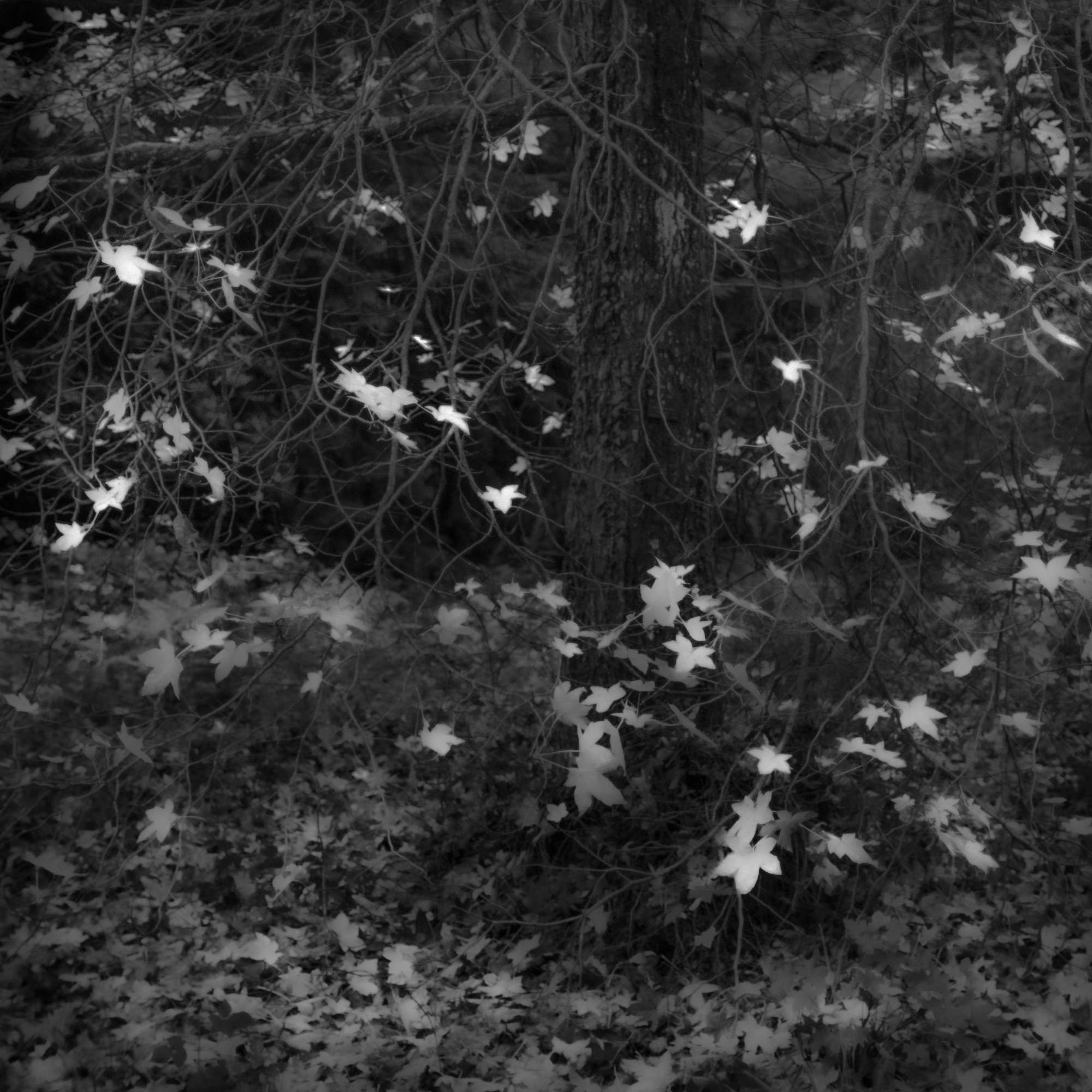 Self-portraits in landscape photography - expression in photography