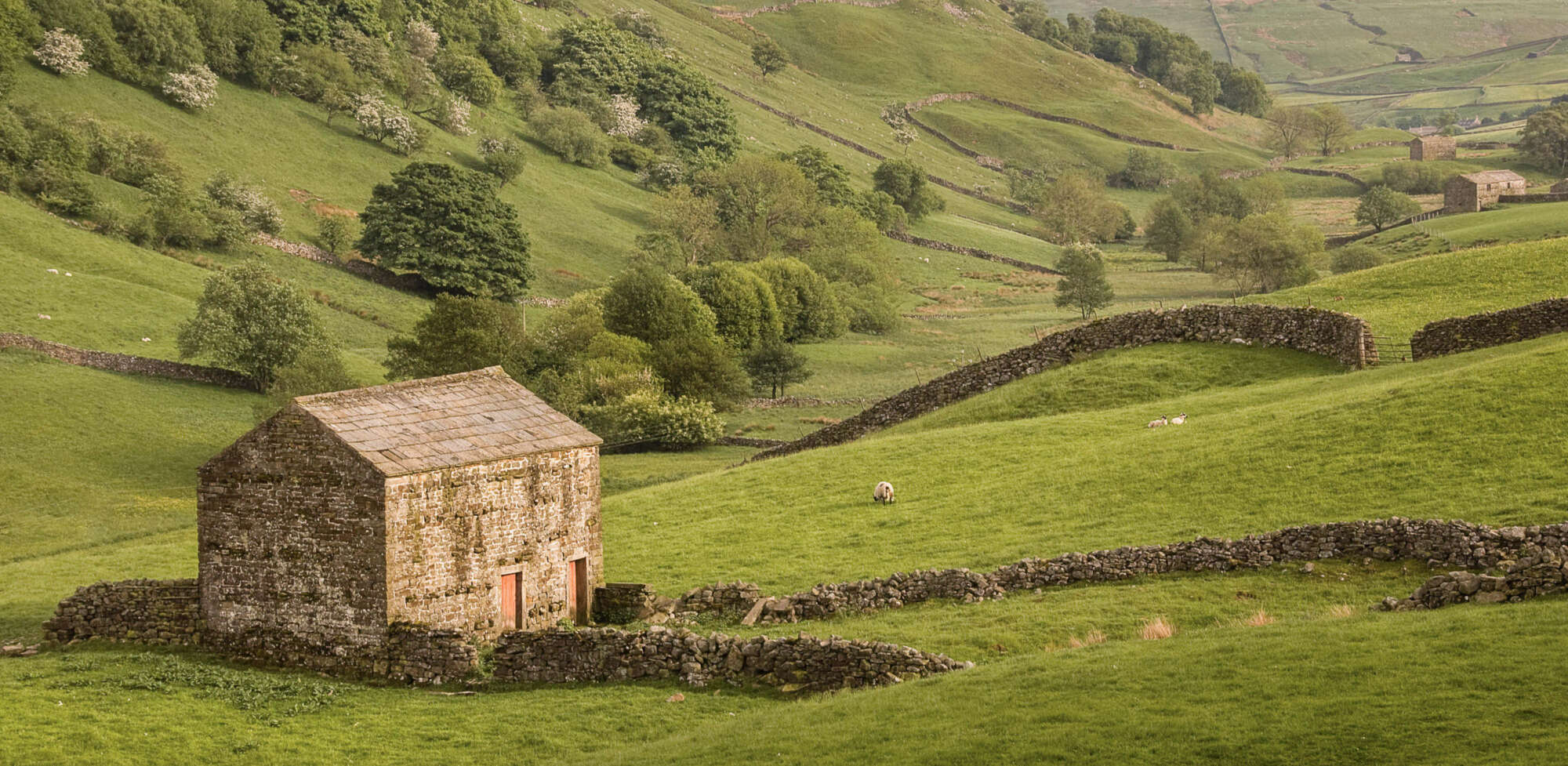 Swaledale Yorkshire Dales by Michael Pilkington aspect2i