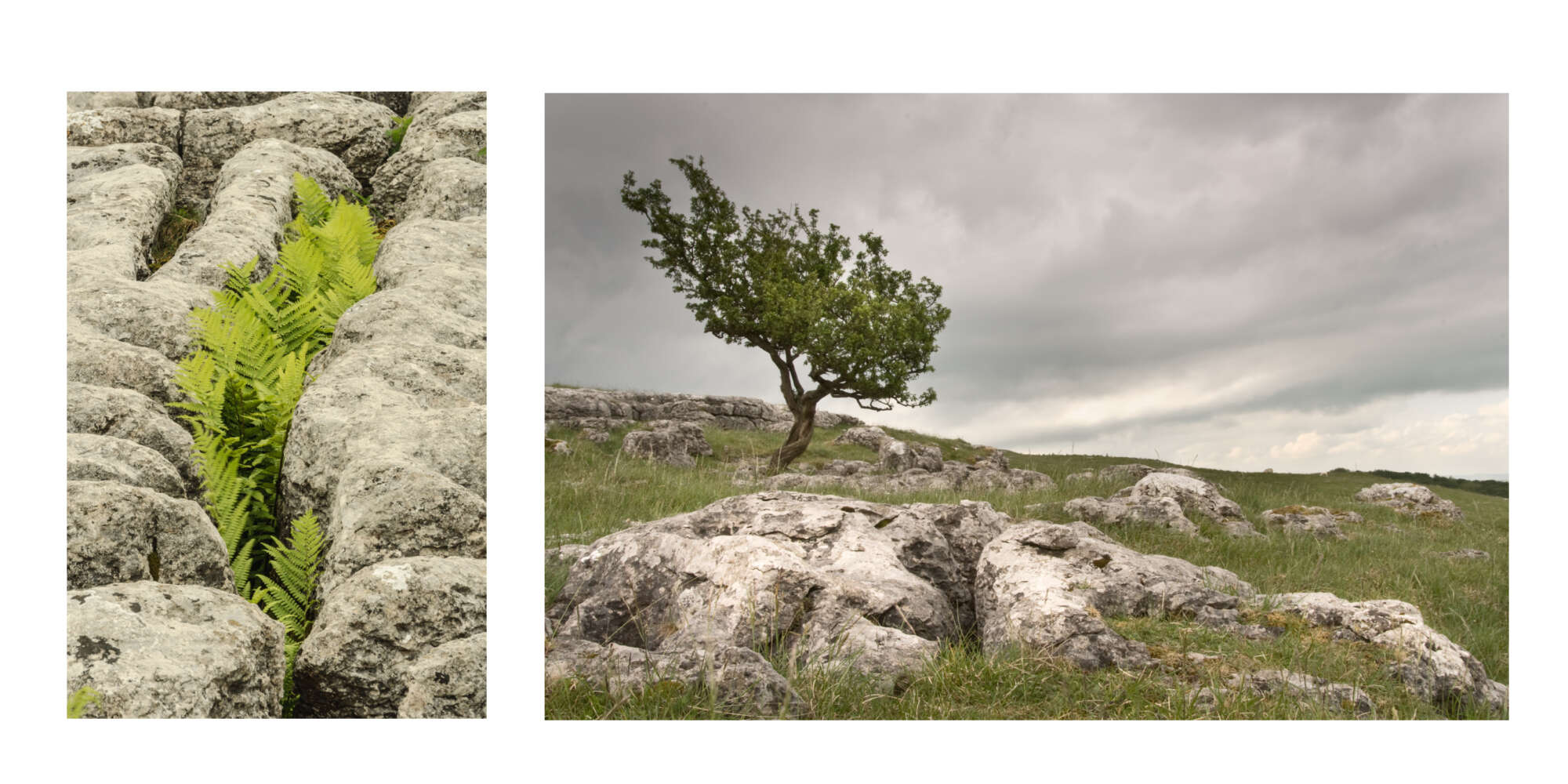 Yorkshire Dales by Michael Pilkington aspect2i