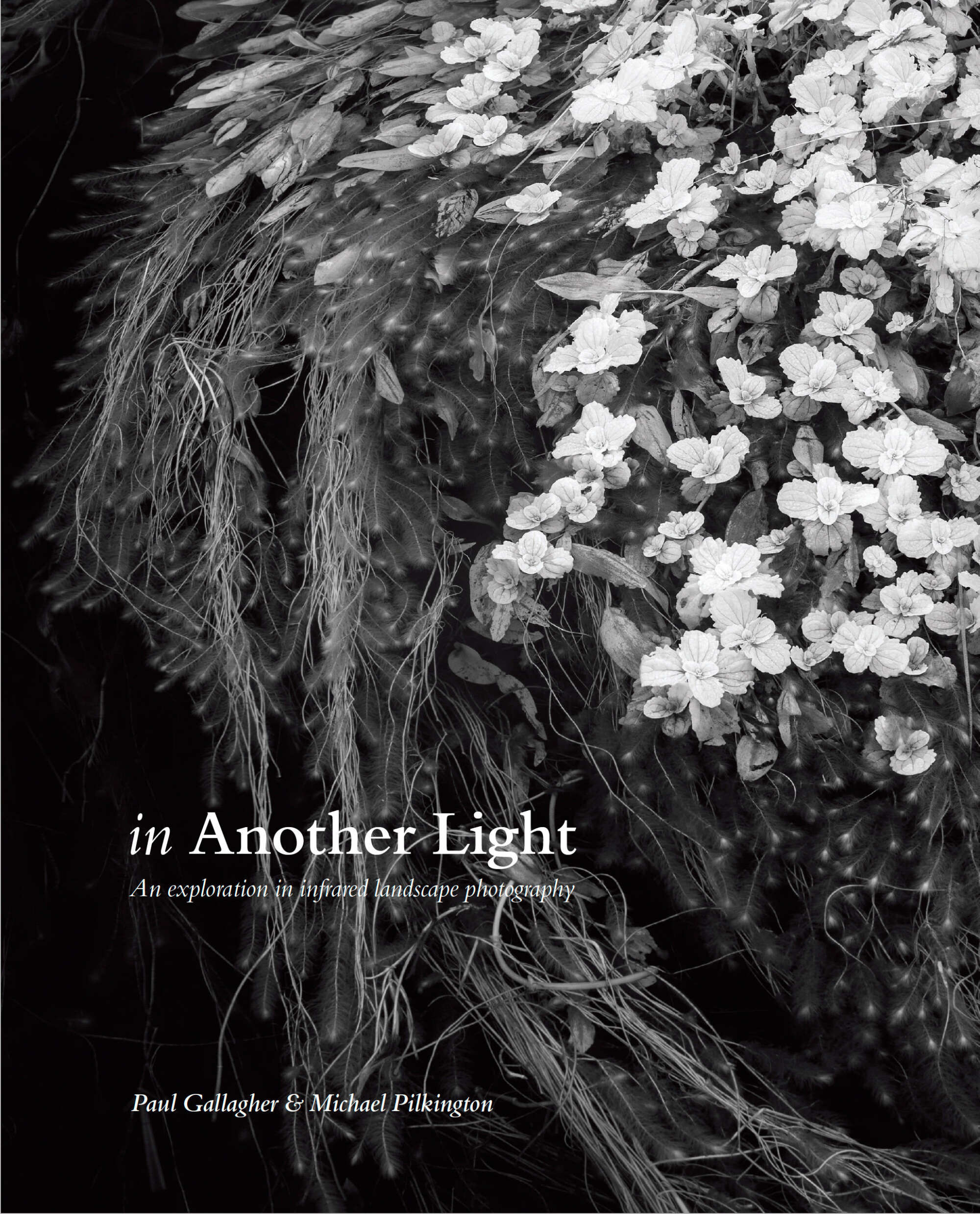 In Light by Paul Gallagher and Michael Pilkington | Aspect2i