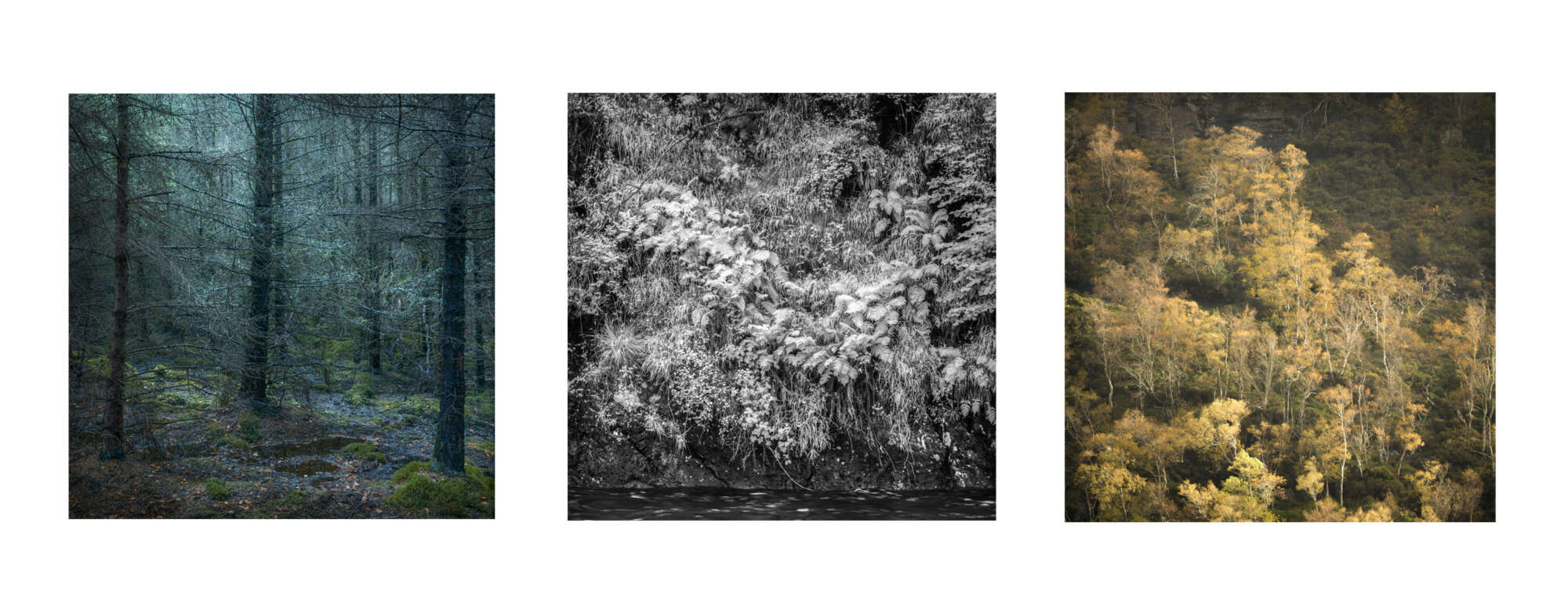 Inner Landscape Triptic by Paul Gallagher aspect2i Inner Landscape Triptic by Paul Gallagher aspect2i