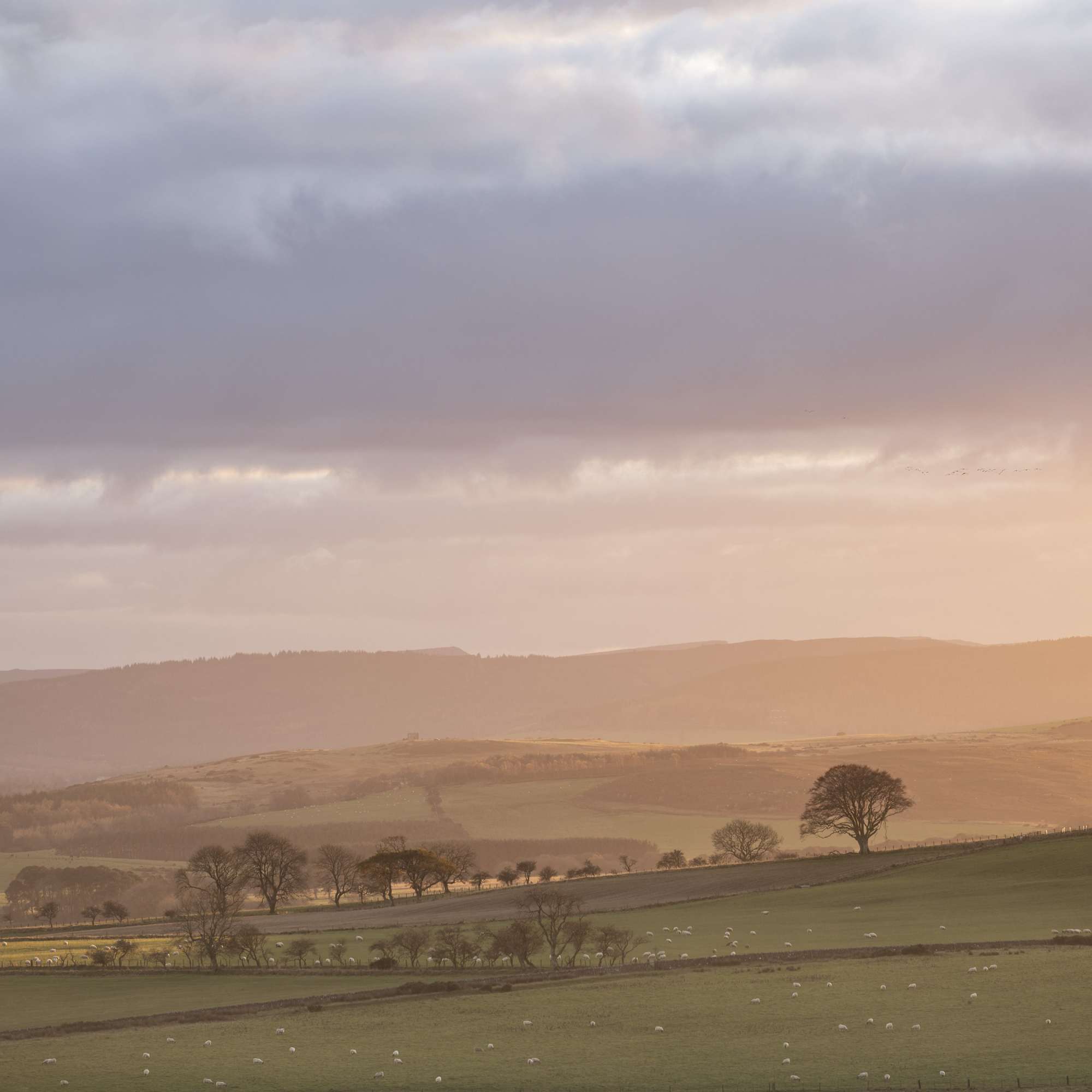 Photograohy Workshop - Northumberland Misty Sunset Mark Lawrence aspect2i Photograohy Workshop - Northumberland Misty Sunset Mark Lawrence aspect2i