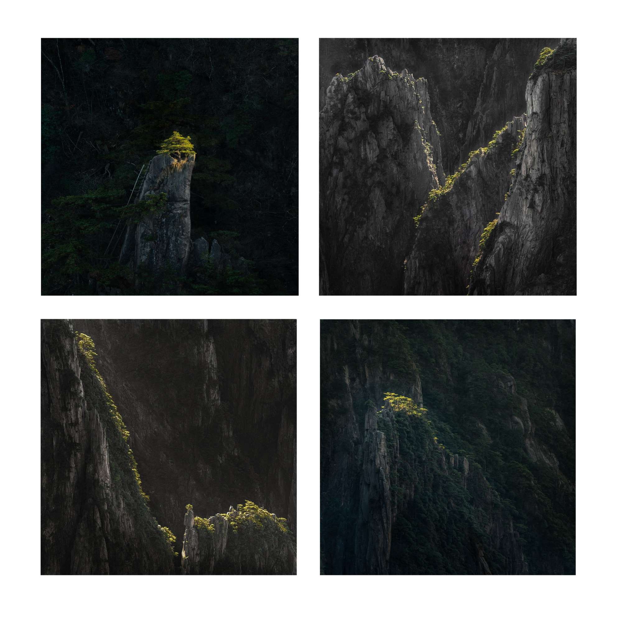 Portraits in Yellow Mountain - Michael Pilkington aspect2i