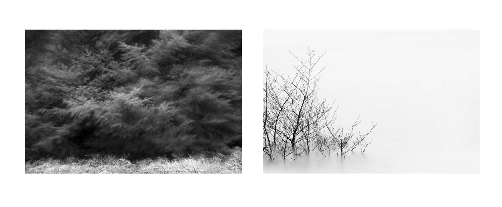 Black and White Studies by Paul Gallagher aspect2i
