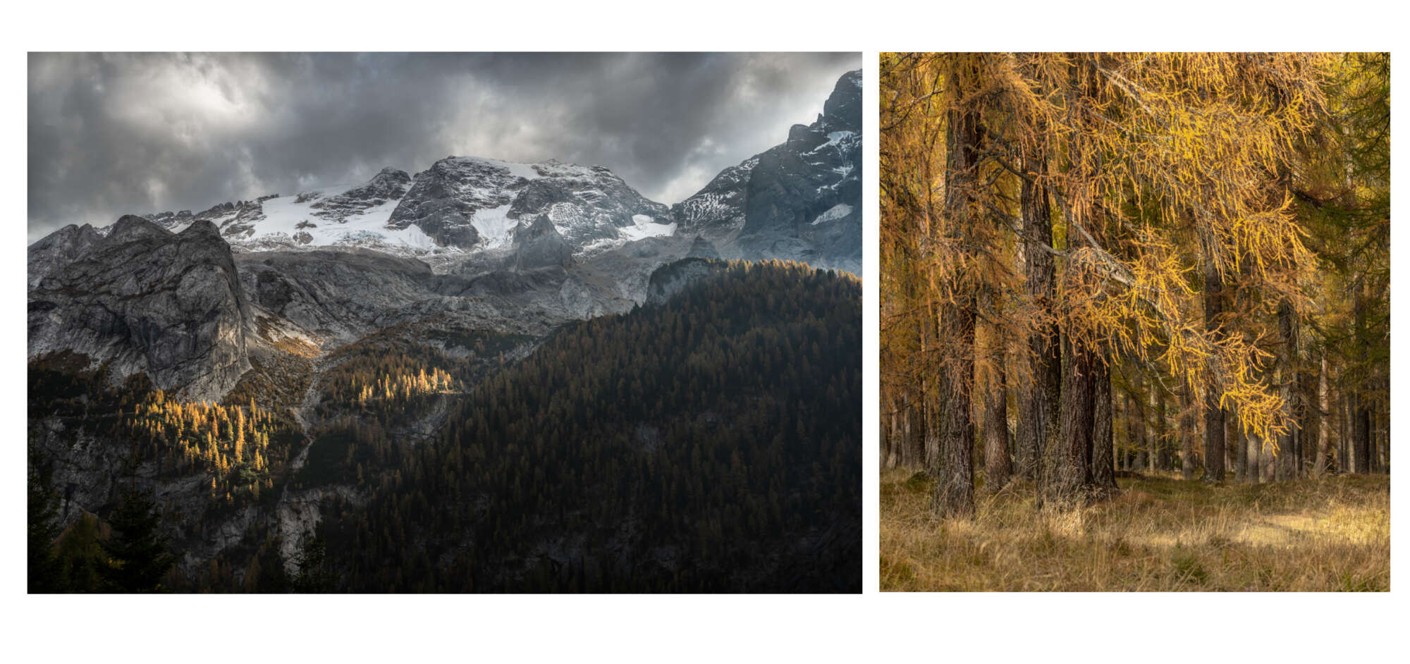 The Italian Dolomites  by Michael Pilkington aspect2i