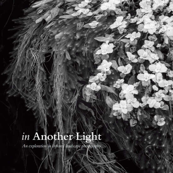 In Another Light by Paul Gallagher and Michael Pilkington - Cover