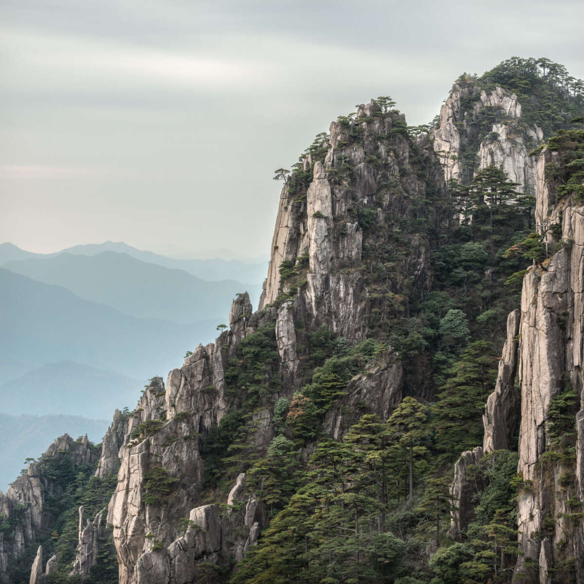 Yellow Mountain China Michael Pilkington aspect2