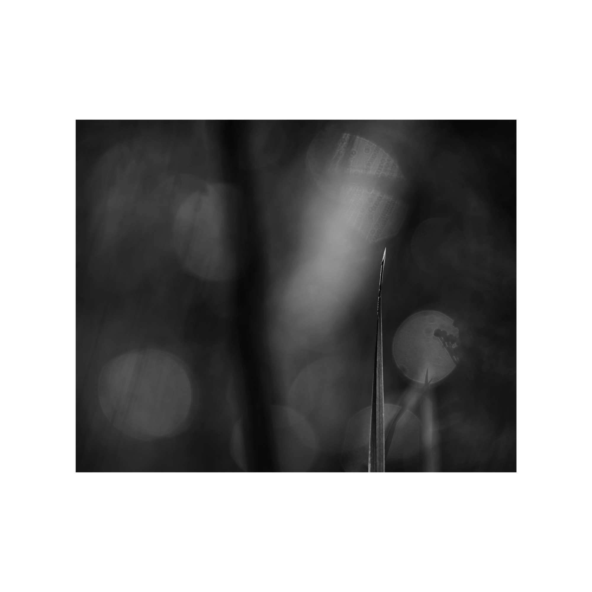 Seeking Enlightenment by David Harris