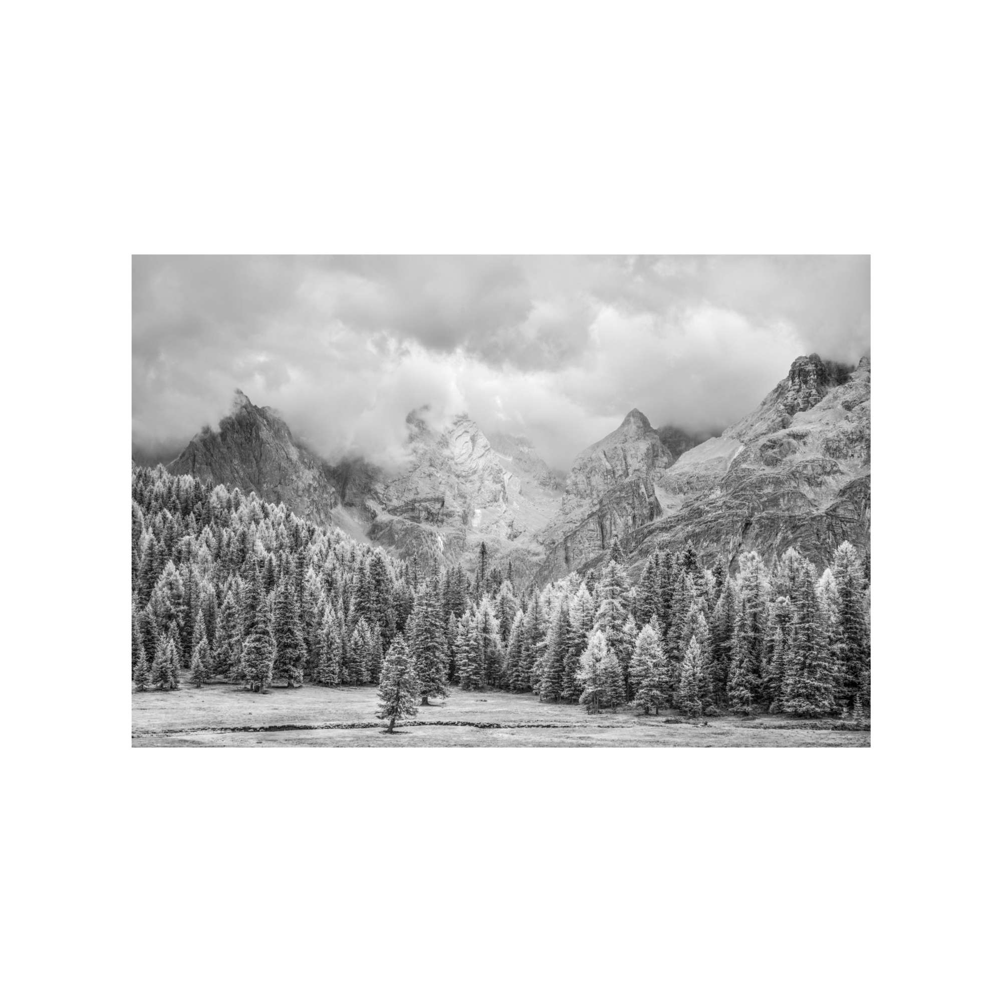 Dolomites - Meadow in IR