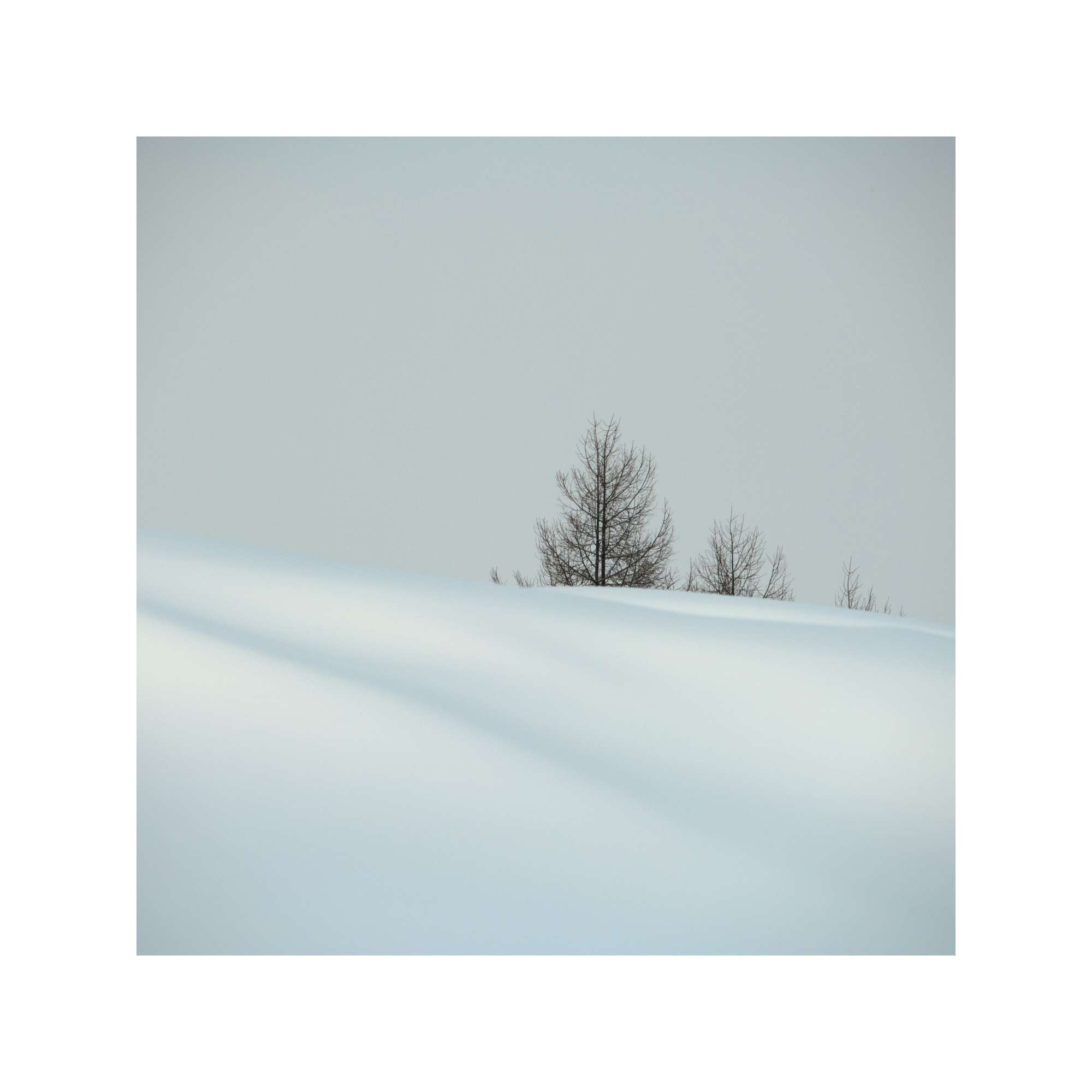 Snow Field