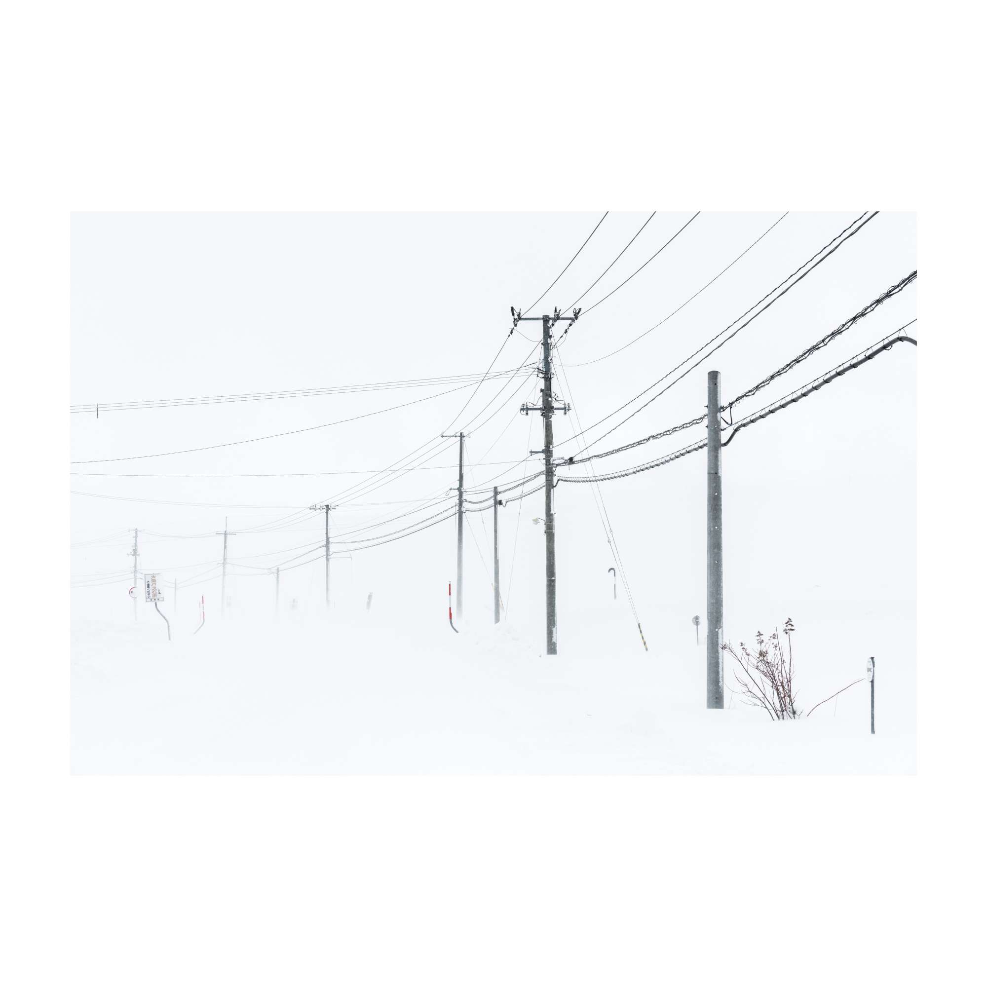 Snow bound wires