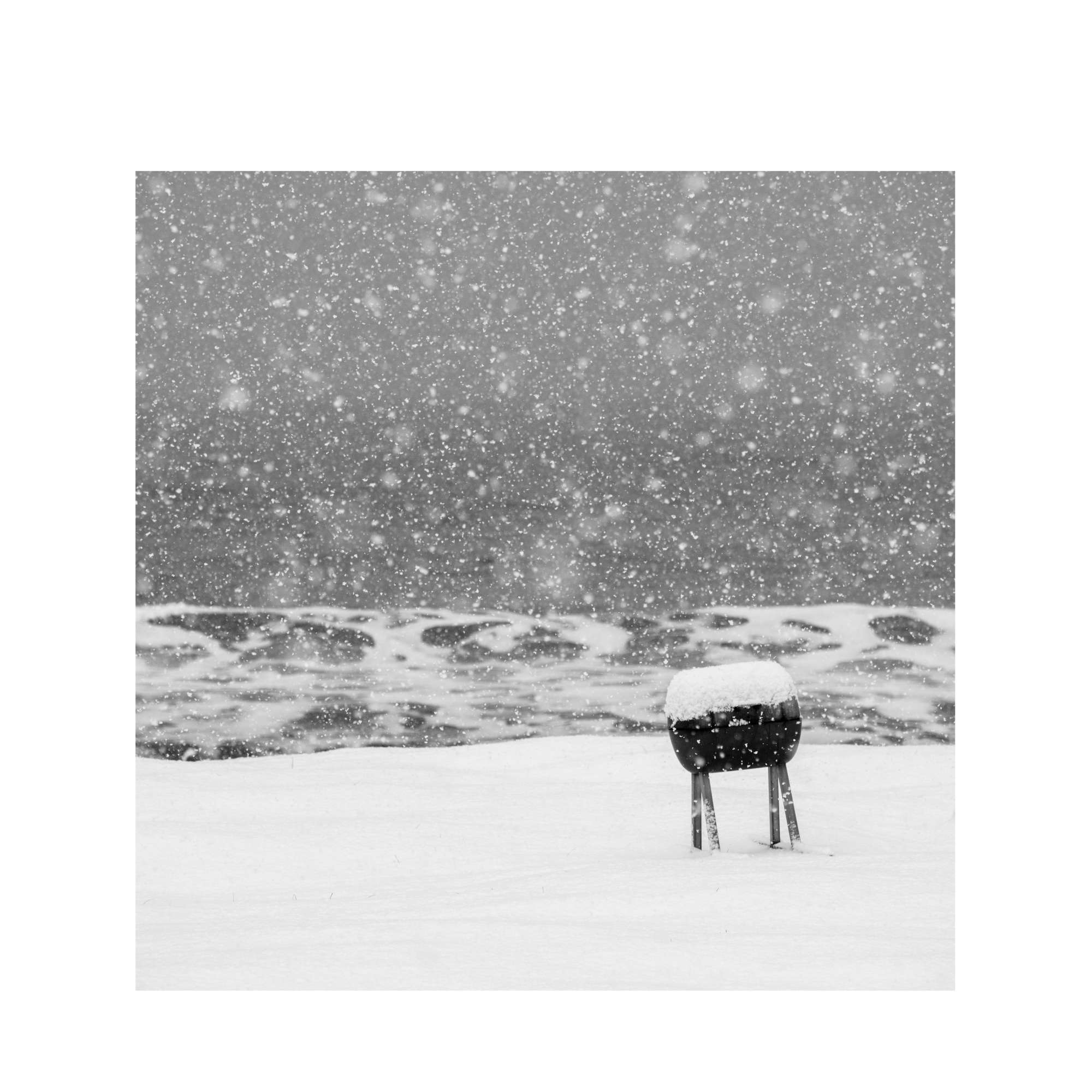 Senja - BBQ in the Snow