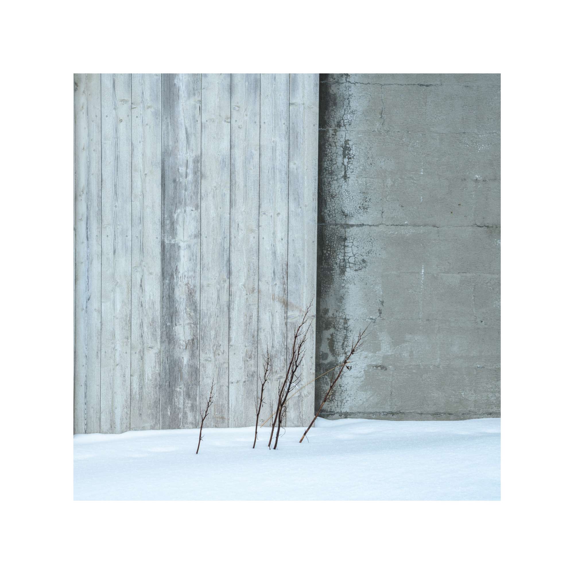 Senja - Building Study with Grass