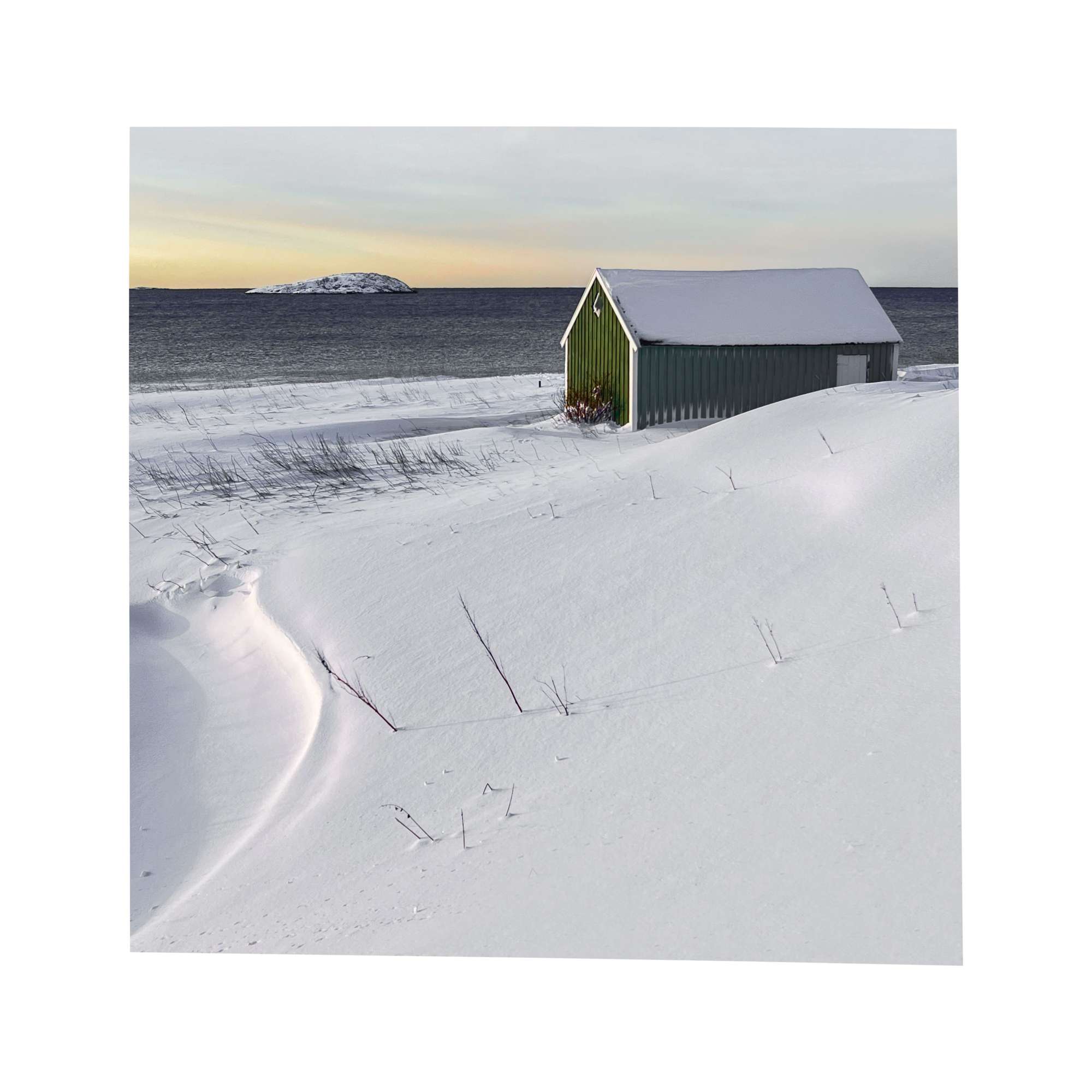 Senja - Green House Study