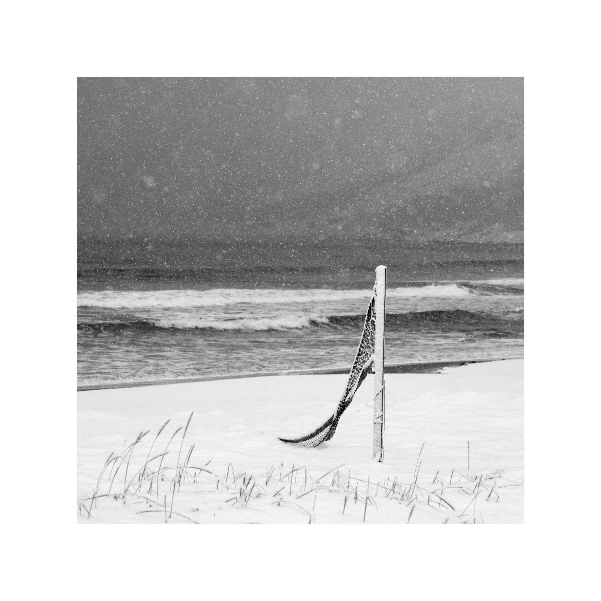 Senja - Volley Ball Net in Snow