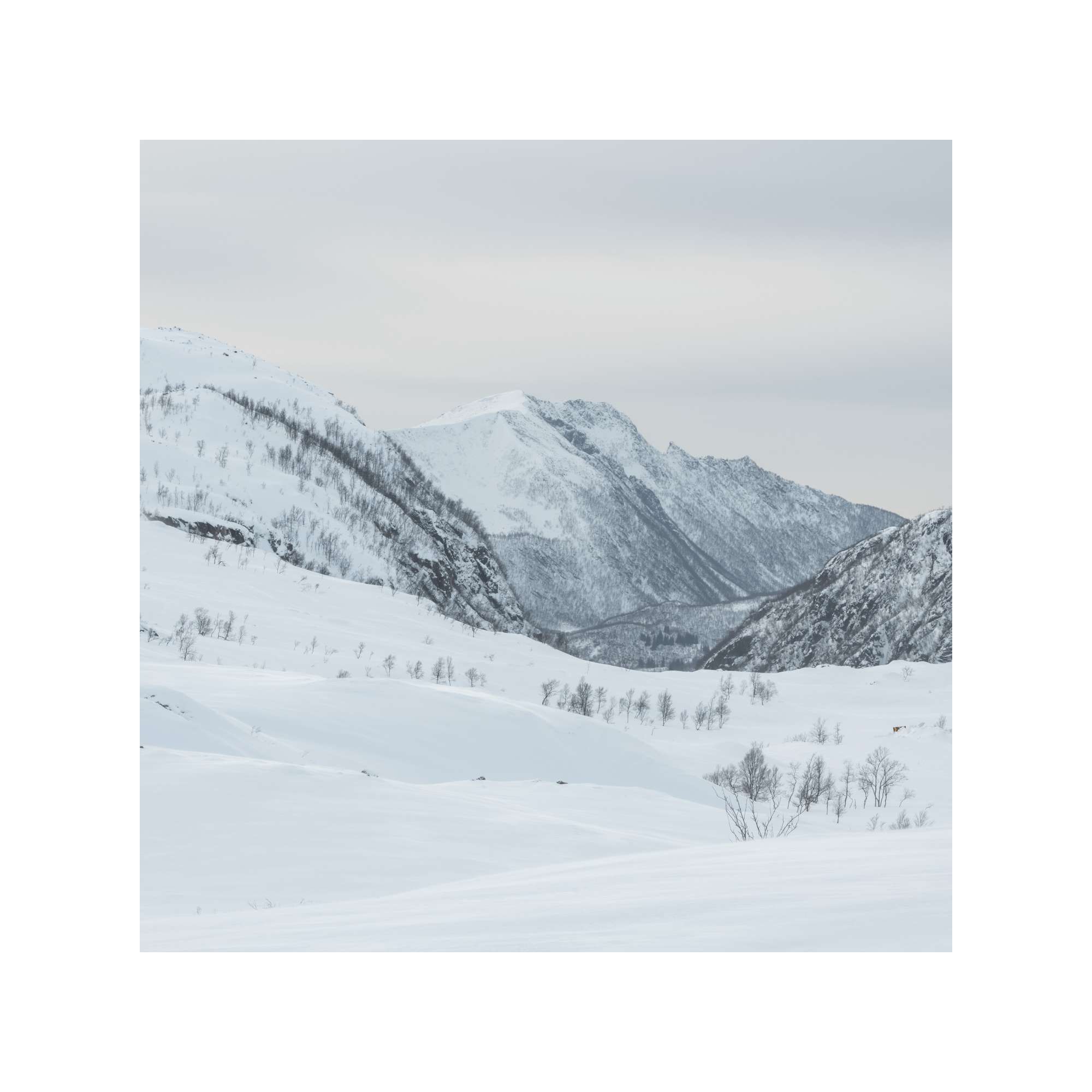 Senja - Rolling Hills