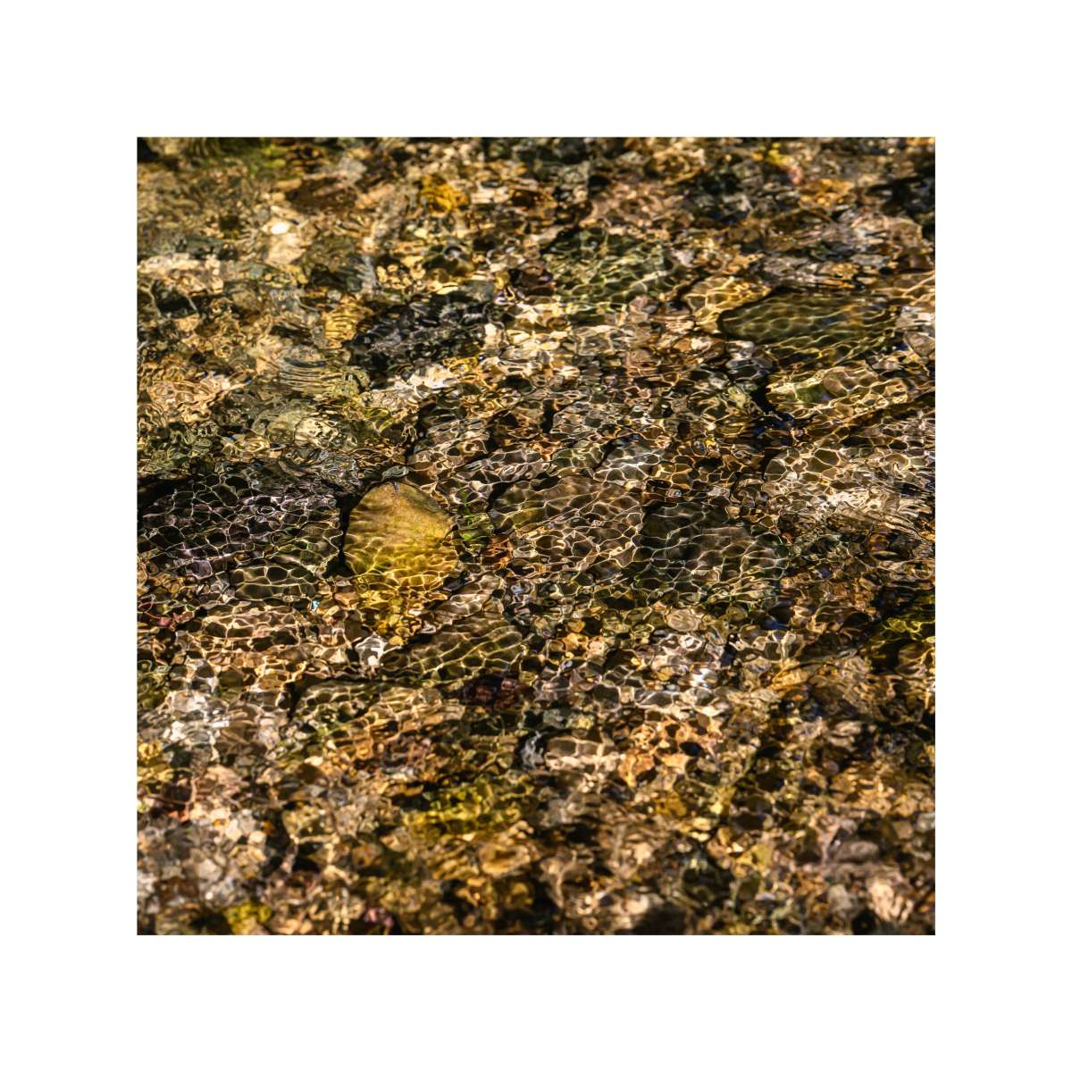 Tranquility by David Ringel