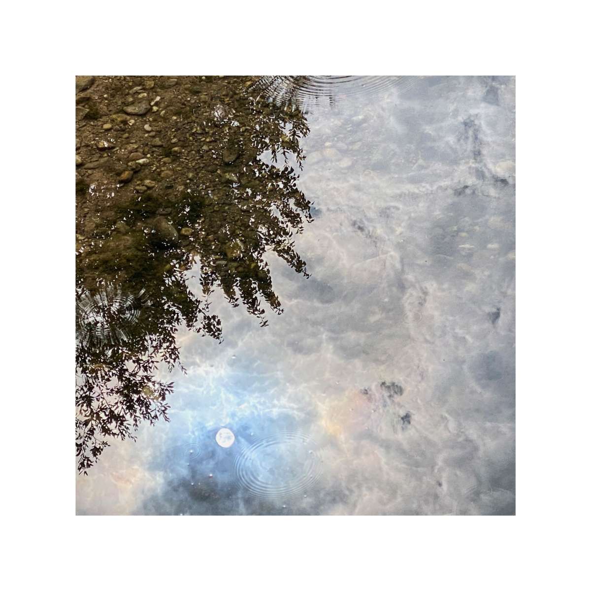 Reflections by Michael Pilkington