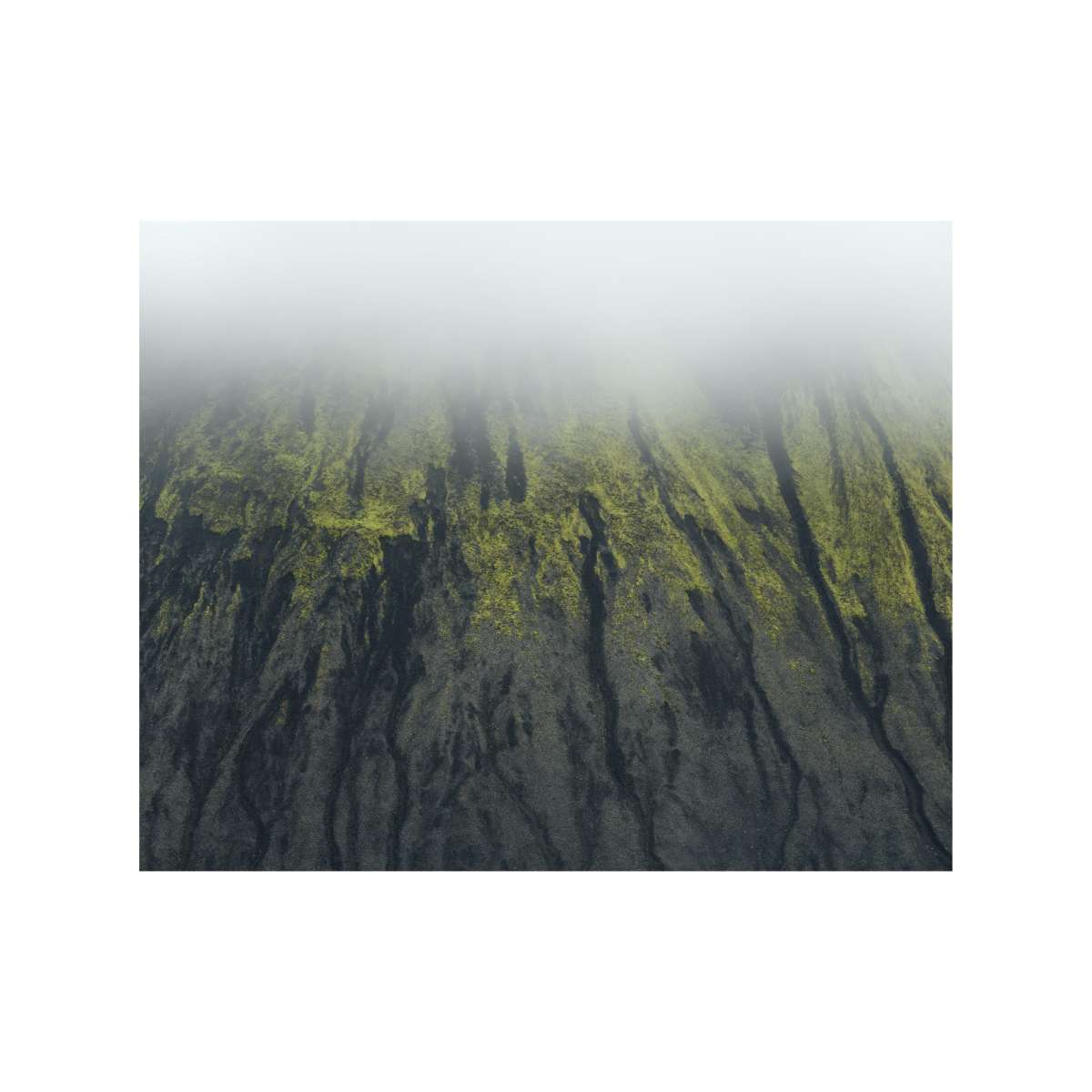 Highlands of Iceland - Study in Green