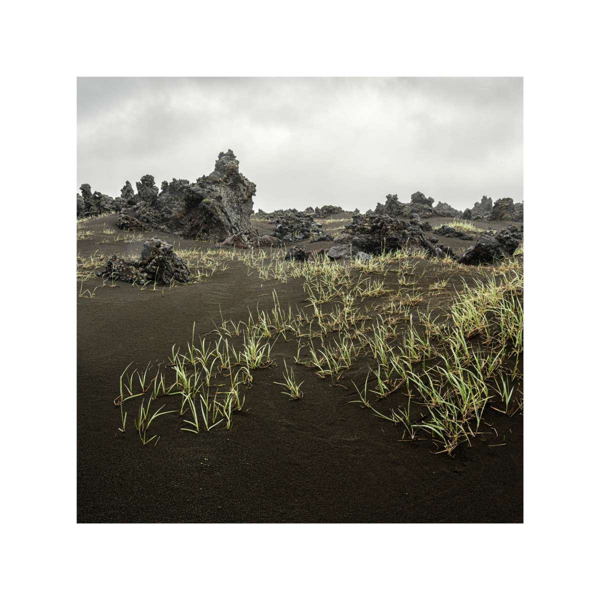 Highlands of Iceland - Lava Rocks and Grasses