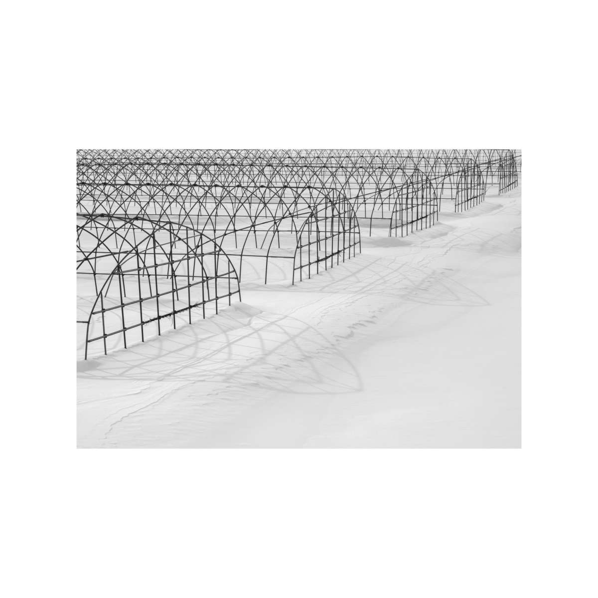 Greenhouses