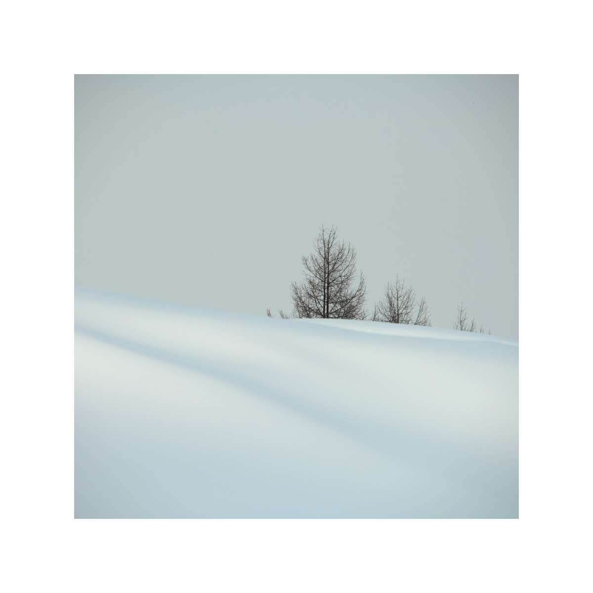 Snow Field