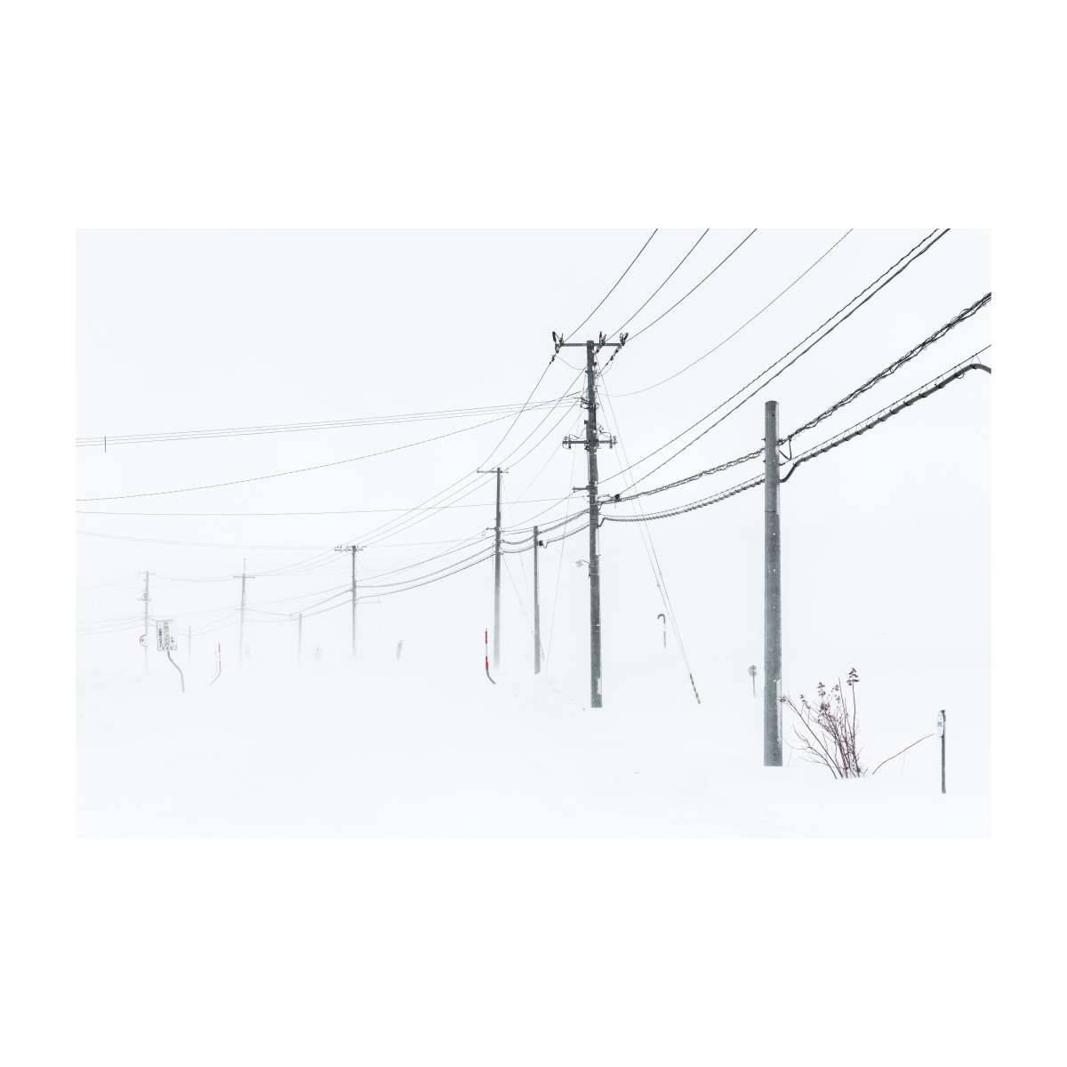 Snow bound wires
