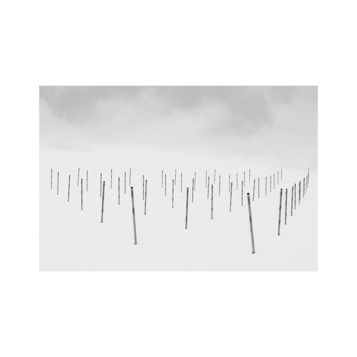Winter Poles