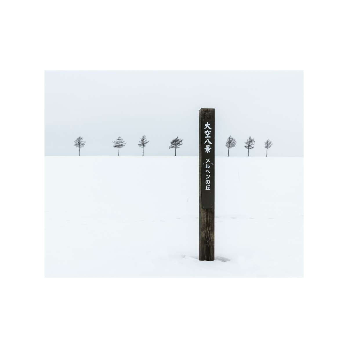 Seven Trees Hokkaido