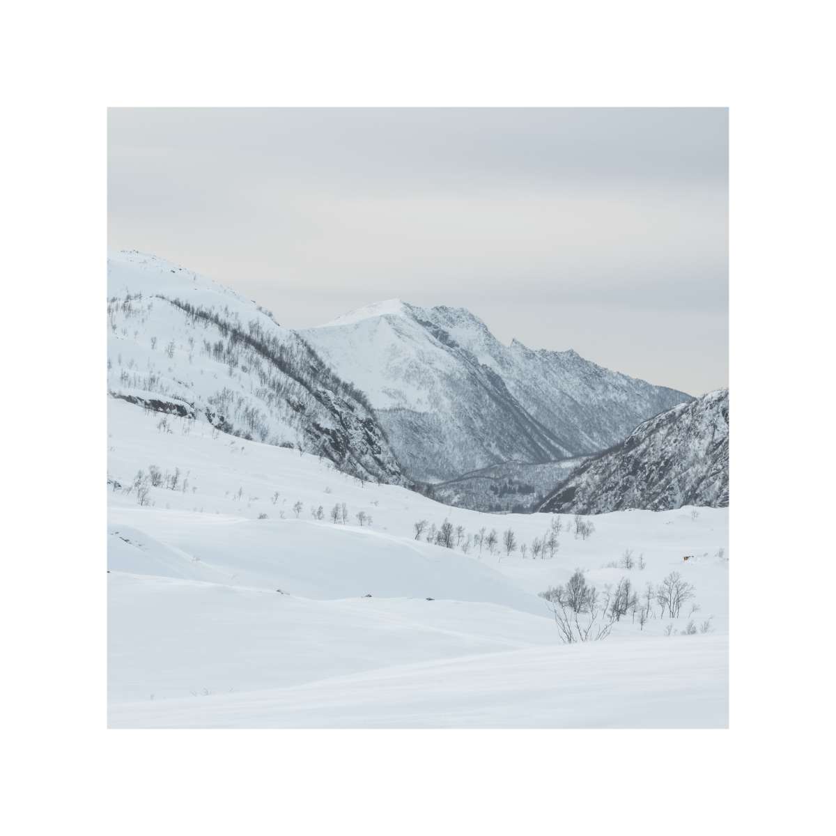Senja - Rolling Hills Senja - Rolling Hills