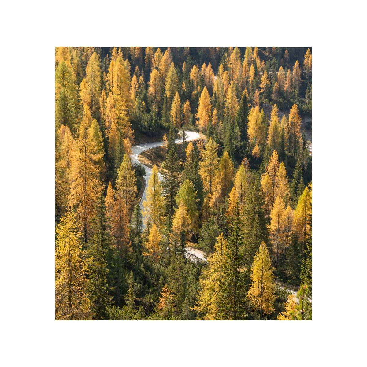 Dolomites - Winding Road