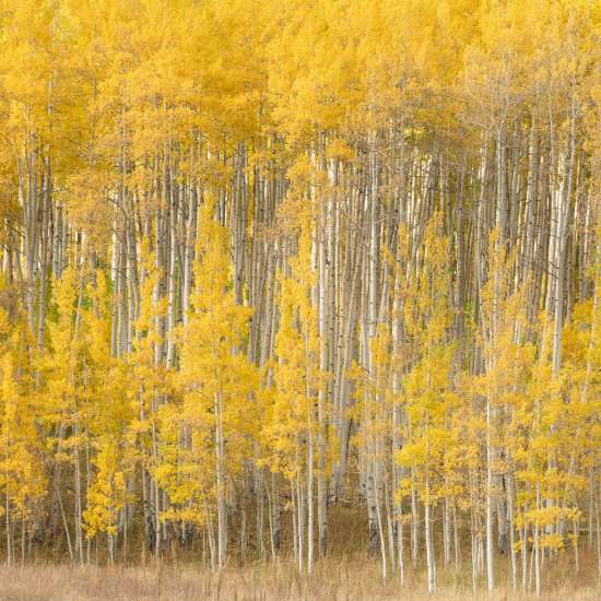 Individual photography tuition with aspect2i