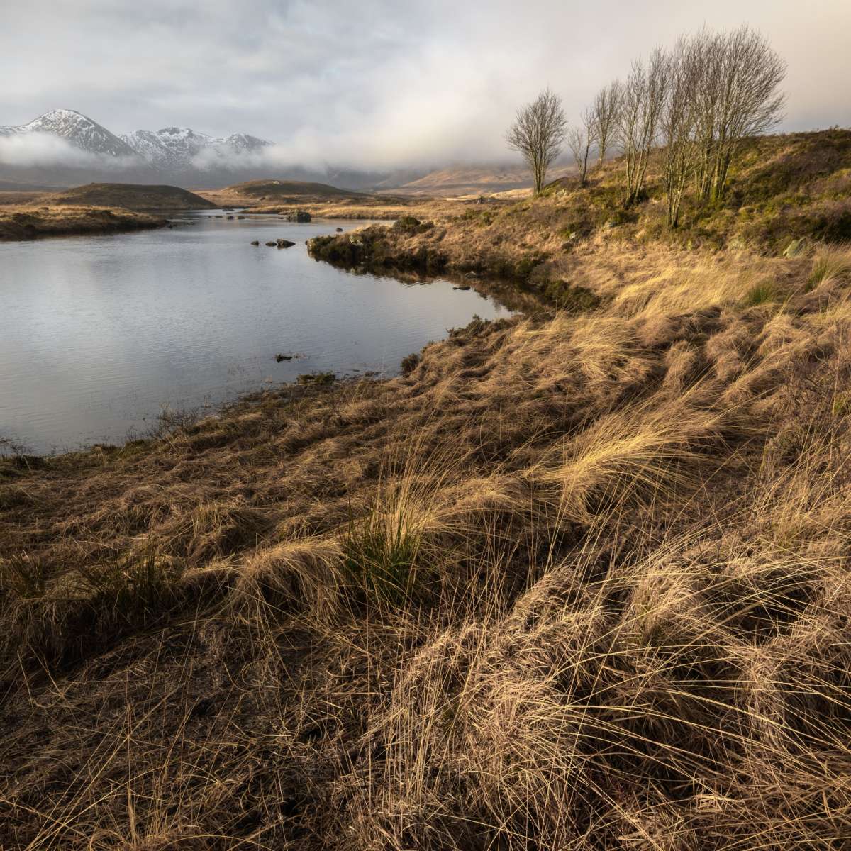 Rannoch Moor by Michael Pikington aspect2i