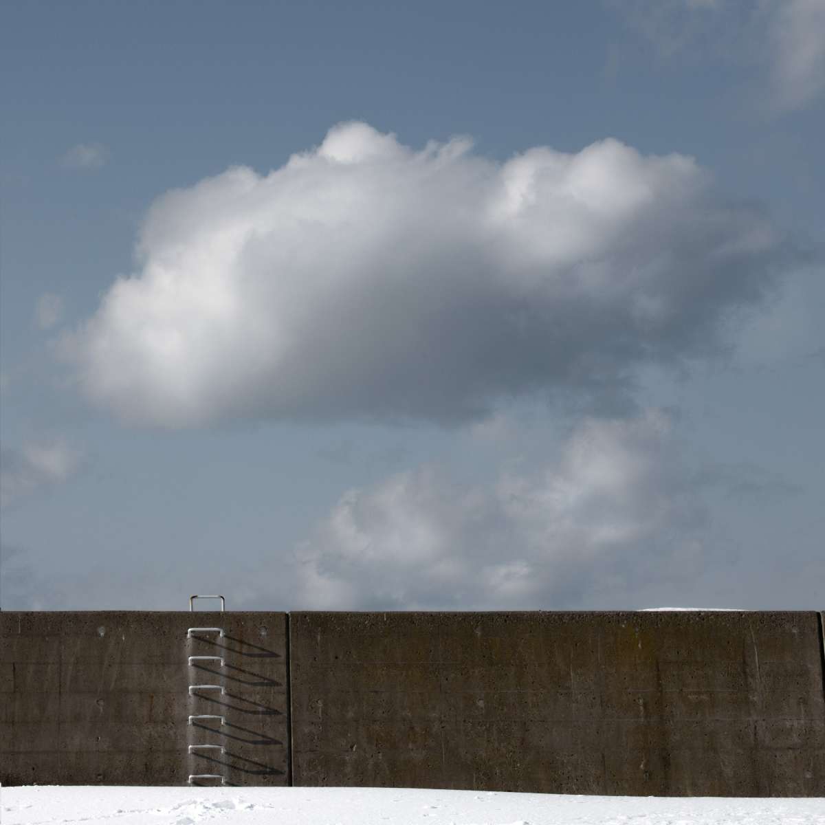 Hokkaido Study by Michael Pilkington aspect2i