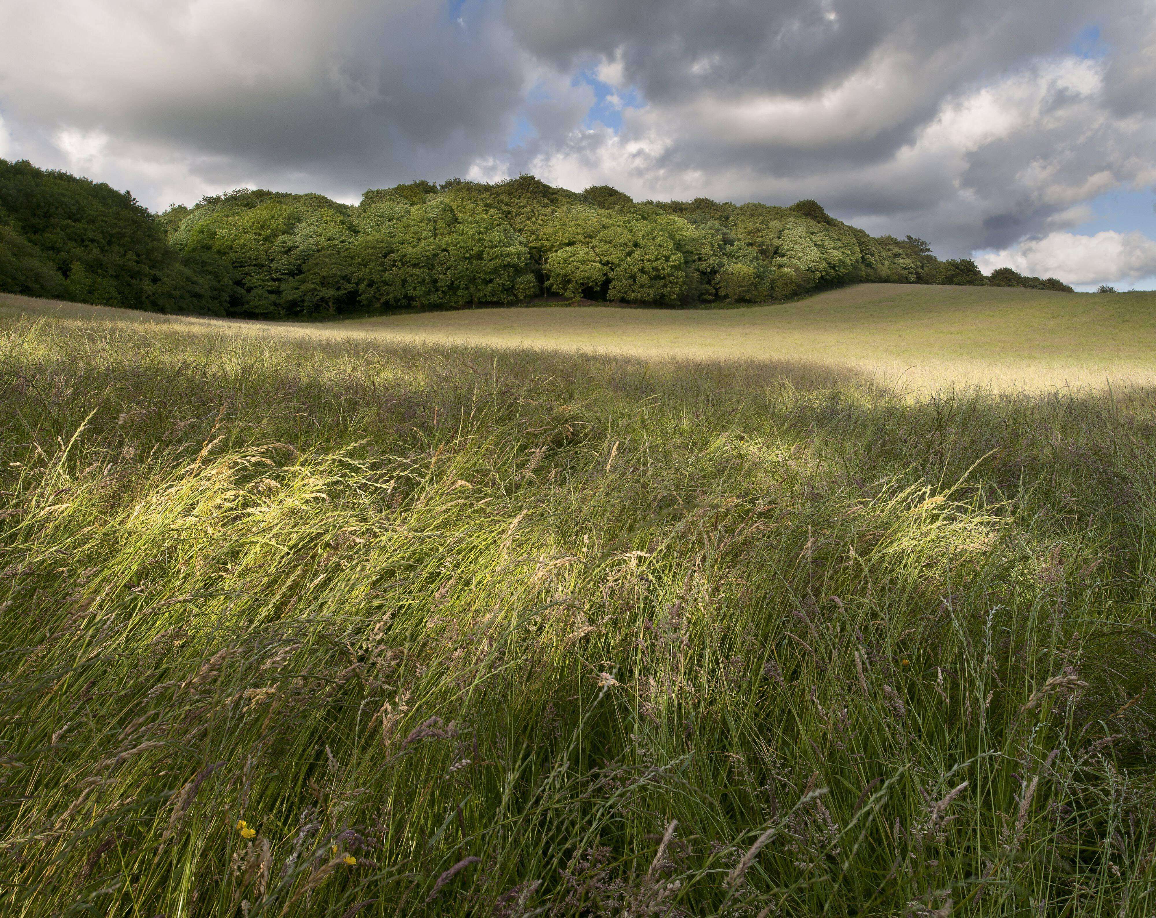 Lancashire Fields by Paul Gallagher aspect2i